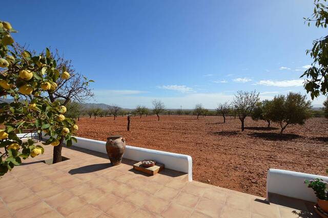 OLV2068: Country house for Sale in Uleila del Campo, Almería