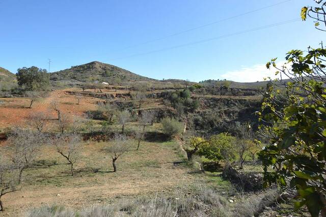 OLV2067: Country house for Sale in Bedar, Almería