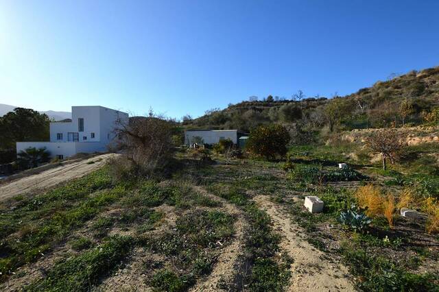 OLV2079: Country house for Sale in Los Gallardos, Almería