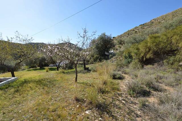 OLV2085: Country house for Sale in Lubrin, Almería