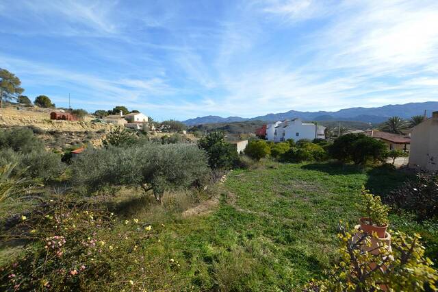 OLV2084: Country house for Sale in Los Gallardos, Almería