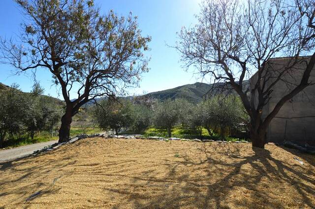 OLV2087: Country house for Sale in Lubrin, Almería