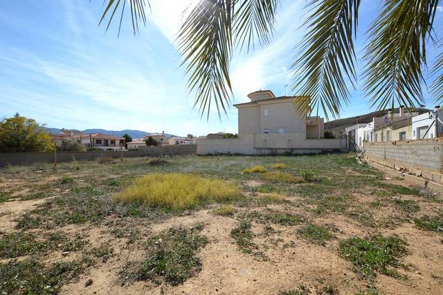 Land in Los Gallardos, Almería