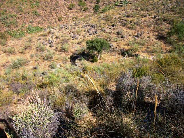 OLV0525: Cortijo for Sale in Uleila del Campo, Almería