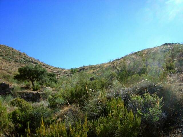 OLV0525: Cortijo for Sale in Uleila del Campo, Almería