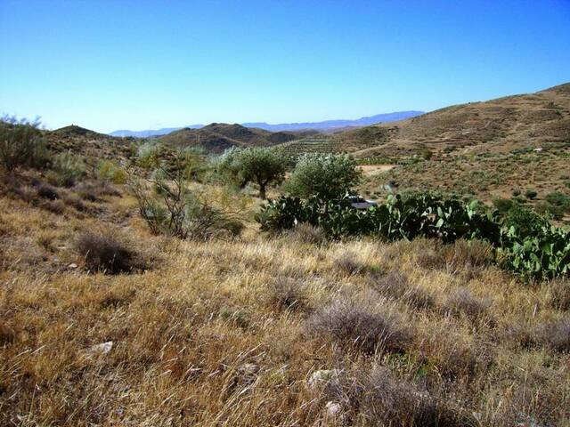 OLV0525: Cortijo for Sale in Uleila del Campo, Almería
