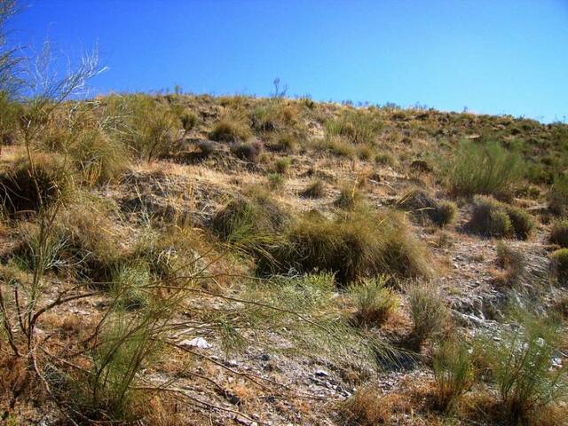 OLV0525: Cortijo for Sale in Uleila del Campo, Almería