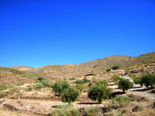 OLV0525: Cortijo for Sale in Uleila del Campo, Almería
