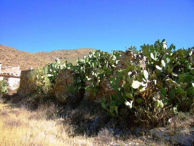 OLV0525: Cortijo for Sale in Uleila del Campo, Almería