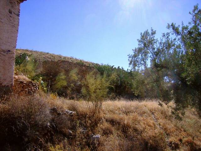 OLV0525: Cortijo for Sale in Uleila del Campo, Almería