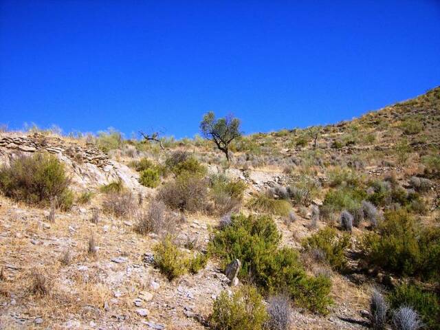 OLV0525: Cortijo for Sale in Uleila del Campo, Almería