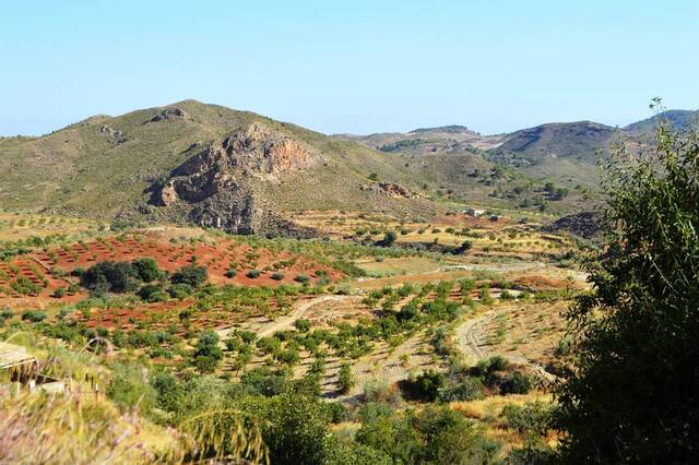 OLV1294: Cortijo for Sale in Lubrin, Almería