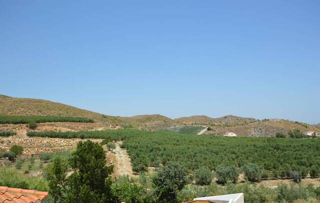OLV2109: Country house for Sale in Lubrin, Almería