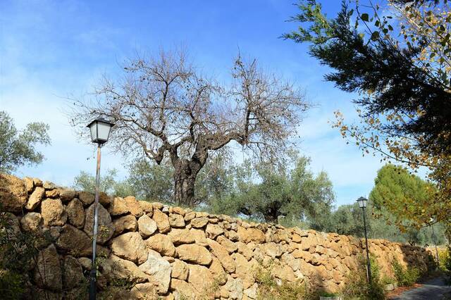 OLV1883: Cortijo for Sale in Lubrin, Almería