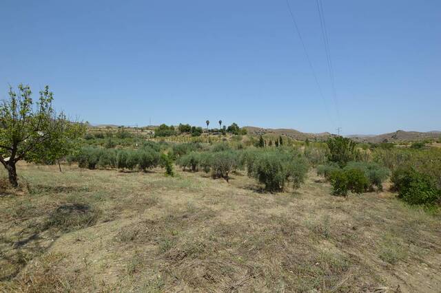 OLV2112: Villa for Sale in Lubrin, Almería