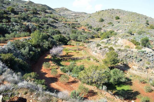 OLV0941: Villa for Sale in Bedar, Almería