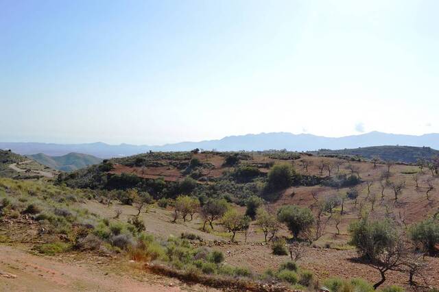 OLV0941: Villa for Sale in Bedar, Almería