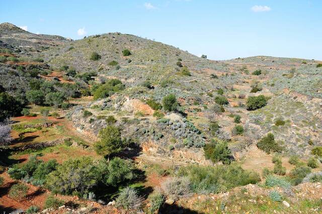 OLV0941: Villa for Sale in Bedar, Almería