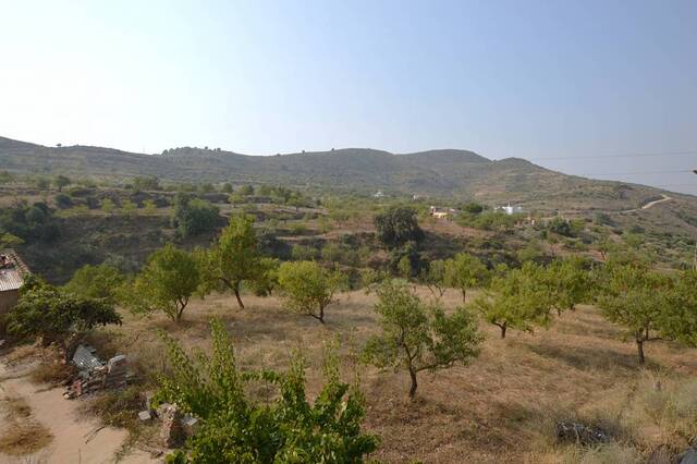 OLV2121: Country house for Sale in Bedar, Almería