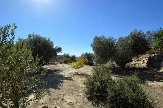 OLV2138: Villa for Sale in Sorbas, Almería OLV2138: Villa for Sale in Sorbas, Almería