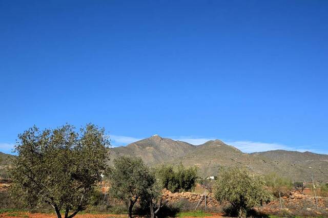 OLV2146: Country house for Sale in Uleila del Campo, Almería
