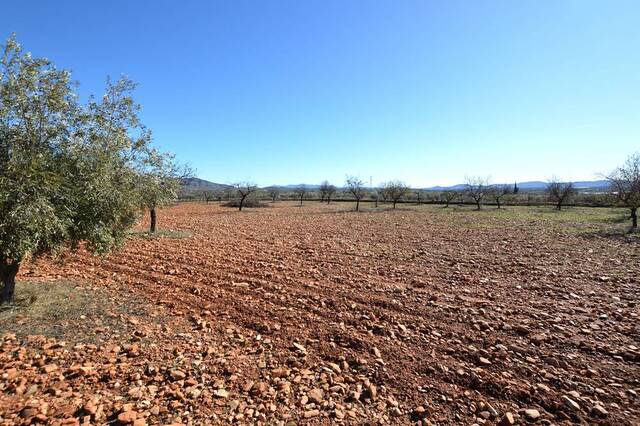 OLV2146: Country house for Sale in Uleila del Campo, Almería