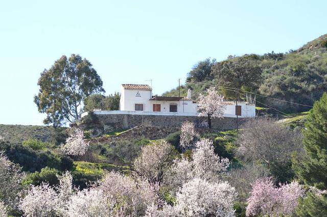 Cortijo in Bedar, Almería Cortijo in Bedar, Almería