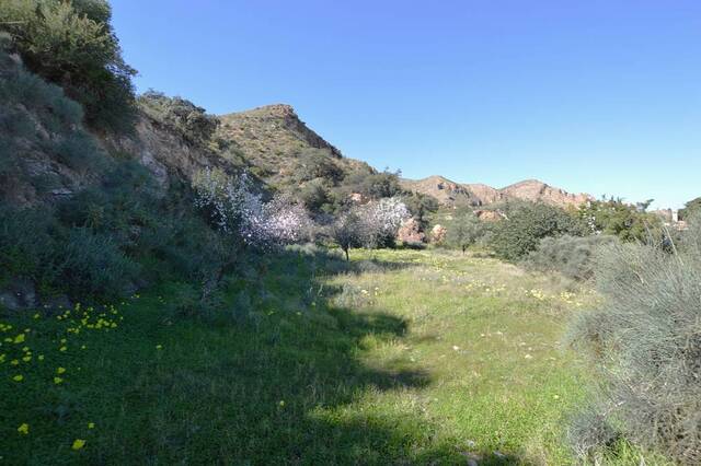 OLV2148: Cortijo for Sale in Bedar, Almería OLV2148: Cortijo for Sale in Bedar, Almería