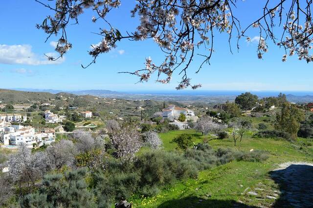 OLV2148: Cortijo for Sale in Bedar, Almería OLV2148: Cortijo for Sale in Bedar, Almería