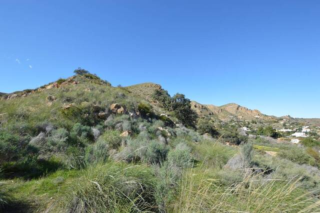 OLV2148: Cortijo for Sale in Bedar, Almería OLV2148: Cortijo for Sale in Bedar, Almería