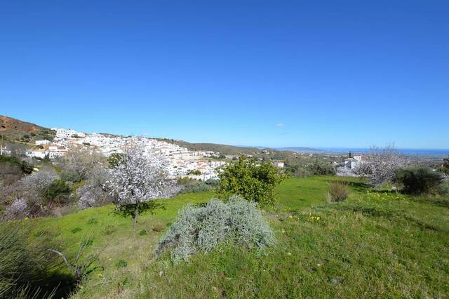 OLV2148: Cortijo for Sale in Bedar, Almería OLV2148: Cortijo for Sale in Bedar, Almería