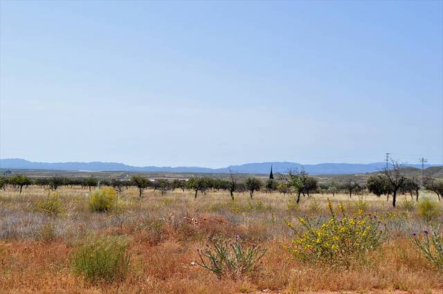 OLV0727: Cortijo for Sale in Uleila del Campo, Almería