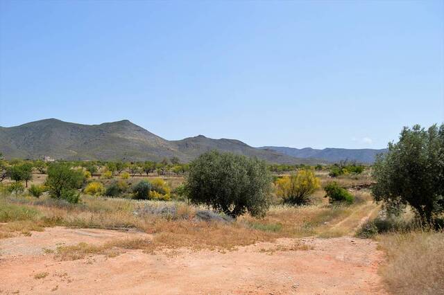 OLV0727: Cortijo for Sale in Uleila del Campo, Almería