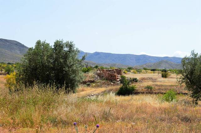 OLV0727: Cortijo for Sale in Uleila del Campo, Almería
