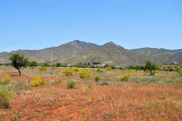 OLV0727: Cortijo for Sale in Uleila del Campo, Almería