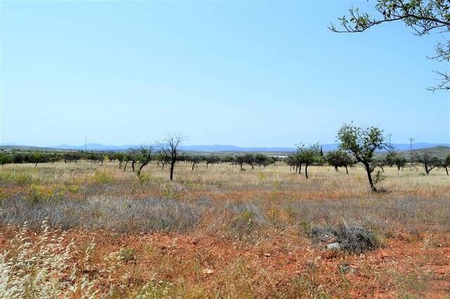 OLV0727: Cortijo for Sale in Uleila del Campo, Almería