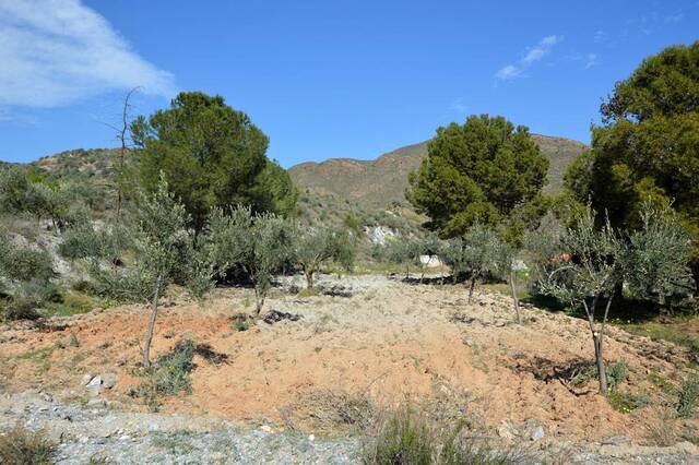 OLV2155: Country house for Sale in Lubrin, Almería OLV2155: Country house for Sale in Lubrin, Almería