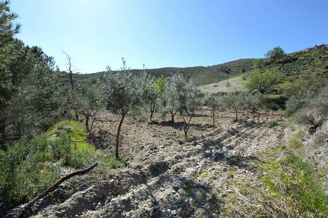 OLV2155: Country house for Sale in Lubrin, Almería OLV2155: Country house for Sale in Lubrin, Almería