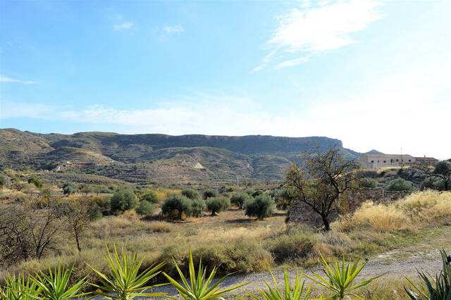 OLV1881: Cortijo for Sale in Sorbas, Almería