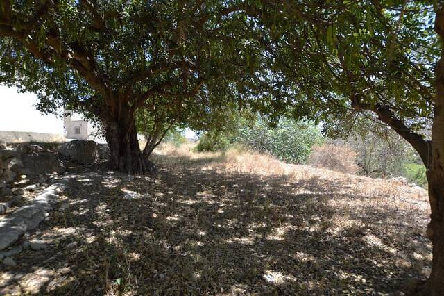 OLV2174: Town house for Sale in Sorbas, Almería