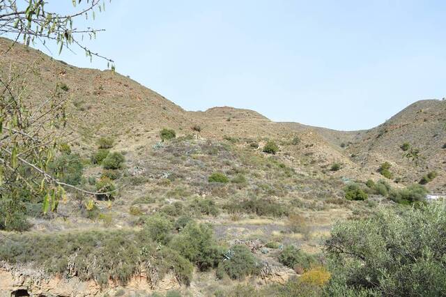 OLV1967: Country house for Sale in Lubrin, Almería OLV1967: Country house for Sale in Lubrin, Almería