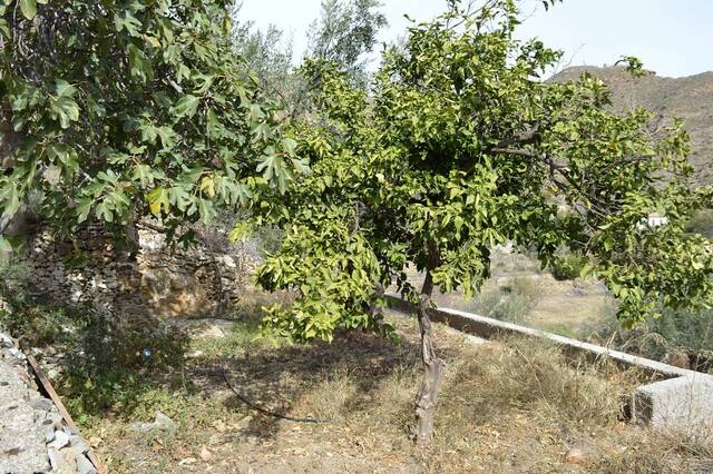 OLV1967: Country house for Sale in Lubrin, Almería OLV1967: Country house for Sale in Lubrin, Almería