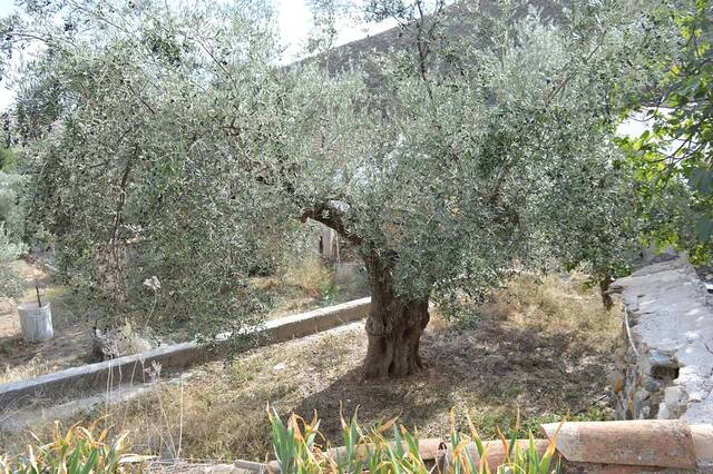 OLV1967: Country house for Sale in Lubrin, Almería OLV1967: Country house for Sale in Lubrin, Almería