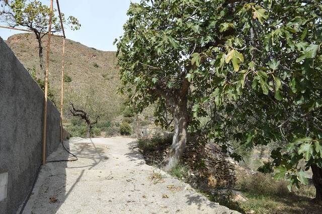 OLV1967: Country house for Sale in Lubrin, Almería OLV1967: Country house for Sale in Lubrin, Almería
