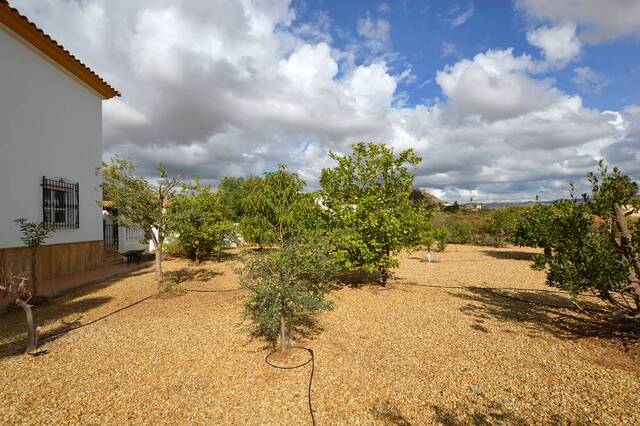 OLV2202: Villa for Sale in Antas, Almería