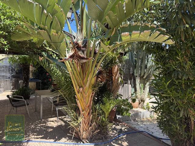 DV1591: Villa for Sale in Mojácar, Almería