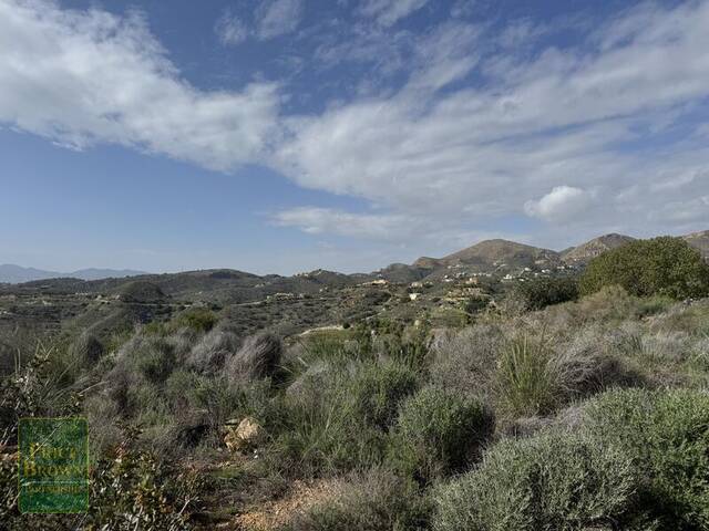 DV1589: Villa for Sale in Bedar, Almería