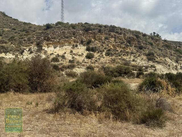 LANCariatiz: Land for Sale in Cariatiz, Almería LANCariatiz: Land for Sale in Cariatiz, Almería