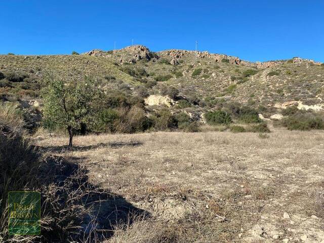 LANCariatiz: Land for Sale in Cariatiz, Almería LANCariatiz: Land for Sale in Cariatiz, Almería