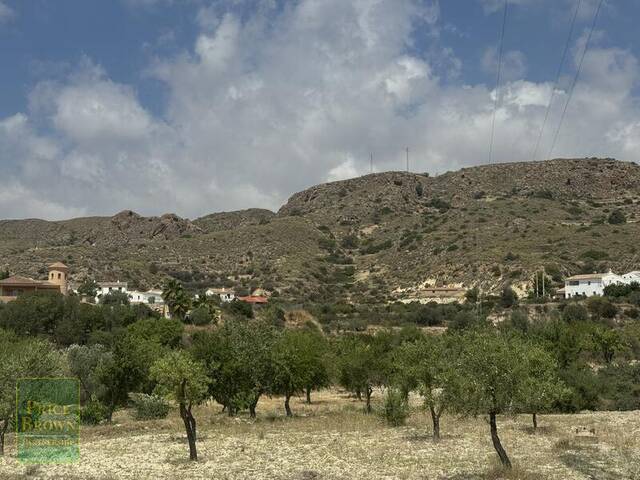 LANCariatiz: Land for Sale in Cariatiz, Almería LANCariatiz: Land for Sale in Cariatiz, Almería